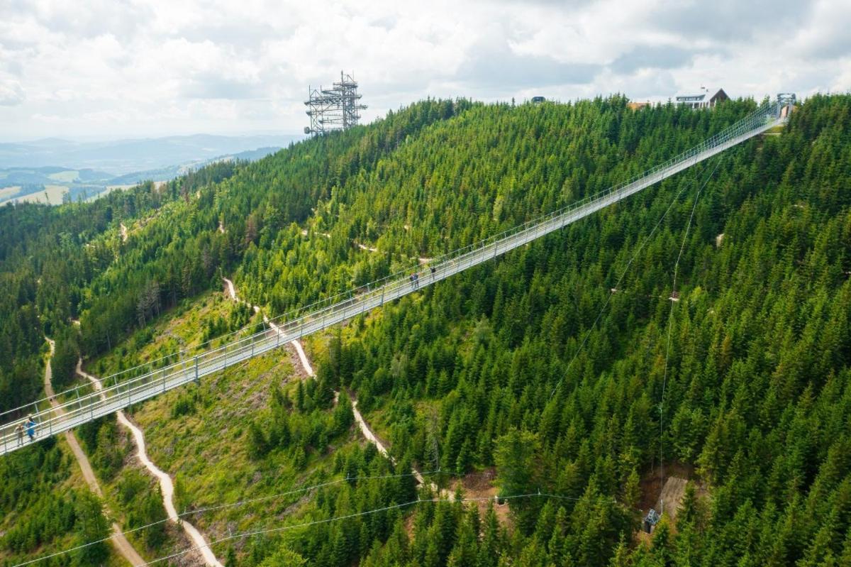 ホテル スパ メディカル デヴォール エリーゼ Długopole-Zdrój エクステリア 写真